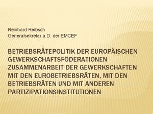 Reinhard Reibsch Generalsekretr a D der EMCEF BETRIEBSRTEPOLITIK