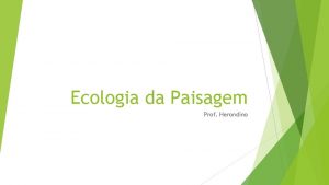 Ecologia da Paisagem Prof Herondino Introduo Ecologia da