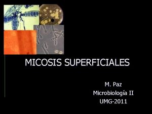 MICOSIS SUPERFICIALES M Paz Microbiologa II UMG2011 Micosis