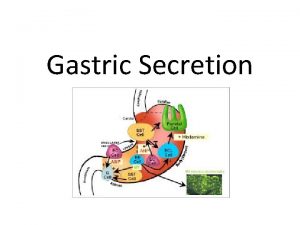 Gastric Secretion Gastric secretion Gastric secretion Gastric juice