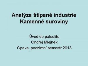 Analza tpan industrie Kamenn suroviny vod do paleolitu