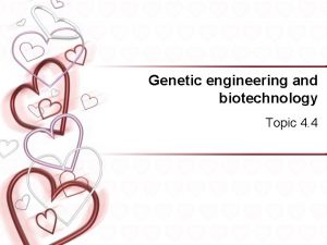 Genetic engineering and biotechnology Topic 4 4 Assessment