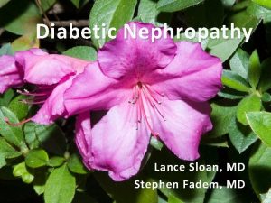 Diabetic Nephropathy Lance Sloan MD Stephen Fadem MD