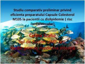 Studiu comparativ preliminar privind eficienta preparatului Capsule Colesterol