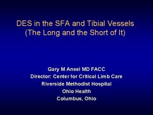 DES in the SFA and Tibial Vessels The