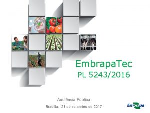 Embrapa Tec PL 52432016 Audincia Pblica Braslia 21