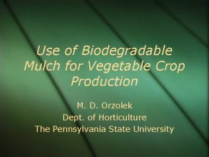 Use of Biodegradable Mulch for Vegetable Crop Production