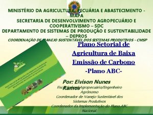 MINISTRIO DA AGRICULTURA PECURIA E ABASTECIMENTO MAPA SECRETARIA