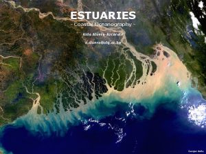 ESTUARIES Coastal Oceanography Aida AlveraAzcrate a alveraulg ac