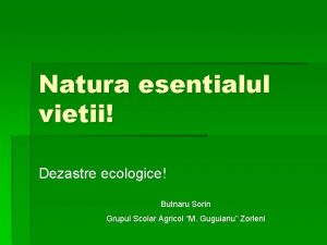 Natura esentialul vietii Dezastre ecologice Butnaru Sorin Grupul