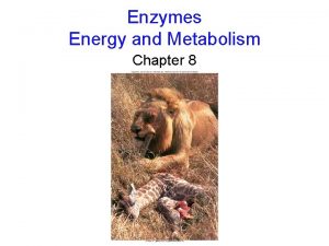 Enzymes Energy and Metabolism Chapter 8 Enzymes molecules