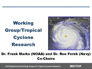 Working GroupTropical Cyclone Research Dr Frank Marks NOAA