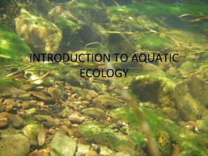 Aquatic ecology definition