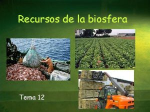 Recursos de la biosfera Tema 12 Introduccin Recursos