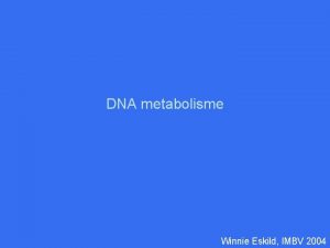 DNA metabolisme Winnie Eskild IMBV 2004 DNA metabolisme