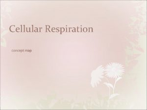 Cellular respiration equation