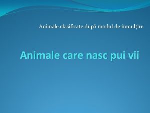 Animale clasificate dup modul de nmulire Animale care