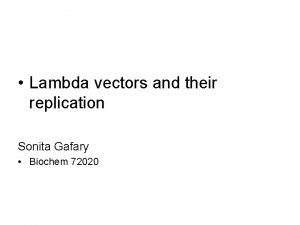 Insertion vector