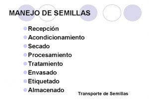 MANEJO DE SEMILLAS l Recepcin l Acondicionamiento l