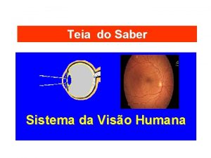 Teia do Saber Sistema da Viso Humana Sistema