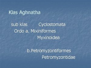Klas Aghnatha sub klas Cyclostomata Ordo a Mixiniformes