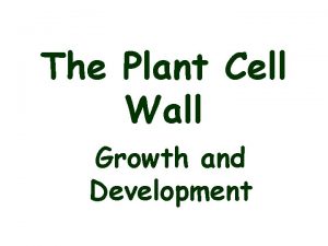 Plant cell summary