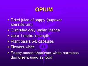 OPIUM Dried juice of poppy papaver somniferum Cultvated