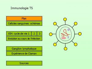 Immunologie TS Plan Cellules sanguines schmas VIH cycle