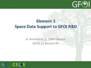 Element 3 Space Data Support to GFOI RD