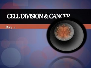 CELL DIVISION CANCER Day 1 Cell Division Video