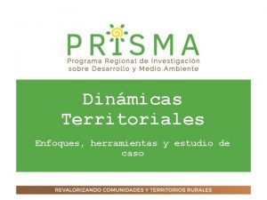 Dinmicas Territoriales Enfoques herramientas y estudio de caso