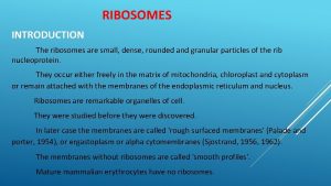 RIBOSOMES INTRODUCTION The ribosomes are small dense rounded