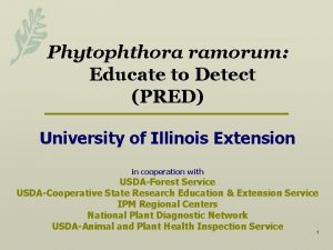 Phytophthora ramorum Educate to Detect PRED University of