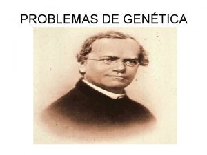 PROBLEMAS DE GENTICA Problema 1 Los individuos que