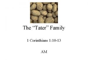 The tater family