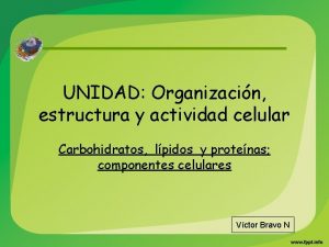 UNIDAD Organizacin estructura y actividad celular Carbohidratos lpidos