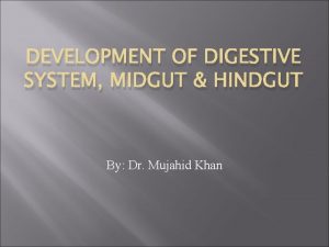 DEVELOPMENT OF DIGESTIVE SYSTEM MIDGUT HINDGUT By Dr