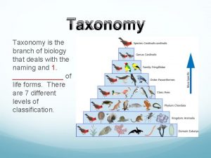 Taxonomy is the branch of science that deals with