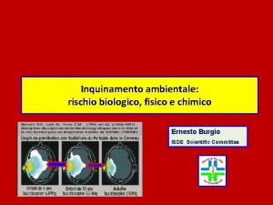 Inquinamento ambientale rischio biologico fisico e chimico Ernesto