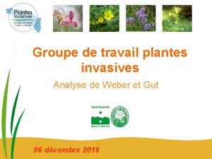 Groupe de travail plantes invasives Analyse de Weber