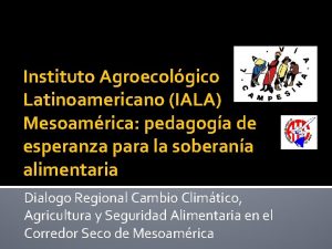 Instituto Agroecolgico Latinoamericano IALA Mesoamrica pedagoga de esperanza