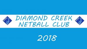Diamond creek netball club