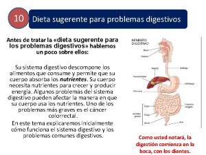 10 Dieta sugerente para problemas digestivos Antes de