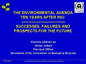 THE ENVIRONMENTAL AGENDA TEN YEARS AFTER RIO SUCCESSES
