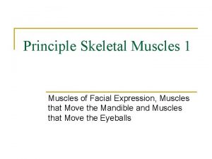 Sternal cladal mastoid Sternal cladal mastoid
