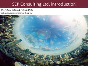 SEP Consulting Ltd introduction Dr Polgr Balzs Palcs