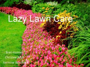 Lazy lawns