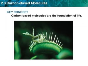 Carbonbased molecules in