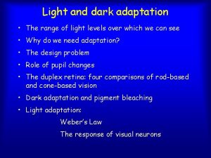 The range from light to dark