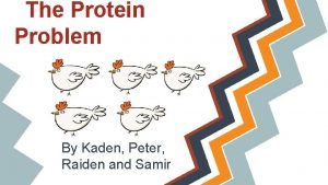 The Protein Problem By Kaden Peter Raiden and